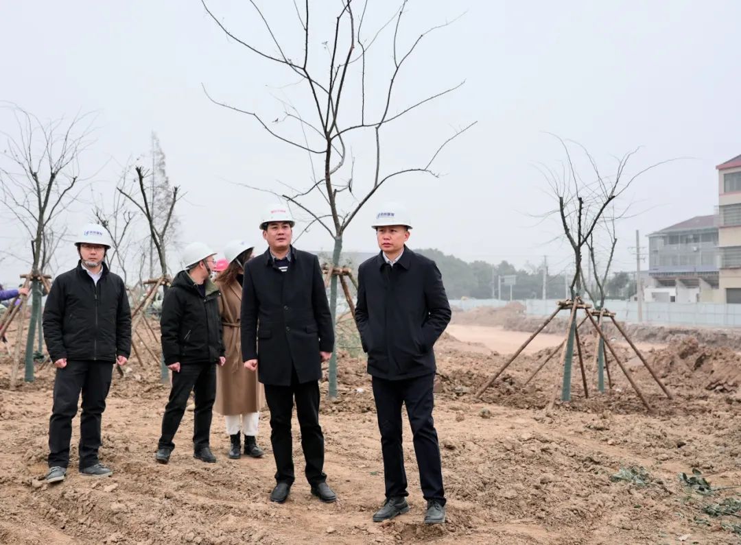 張?jiān)骑w率隊(duì)調(diào)研白云園林公司 聚焦在建項(xiàng)目與樹木種植經(jīng)營，推動(dòng)綠色發(fā)展新篇章